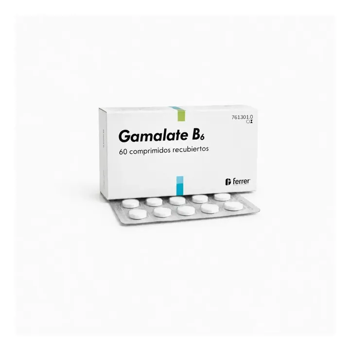 Гамалат В6 (Gamalate B6) — таблетки, покрытые оболочкой, 60 шт