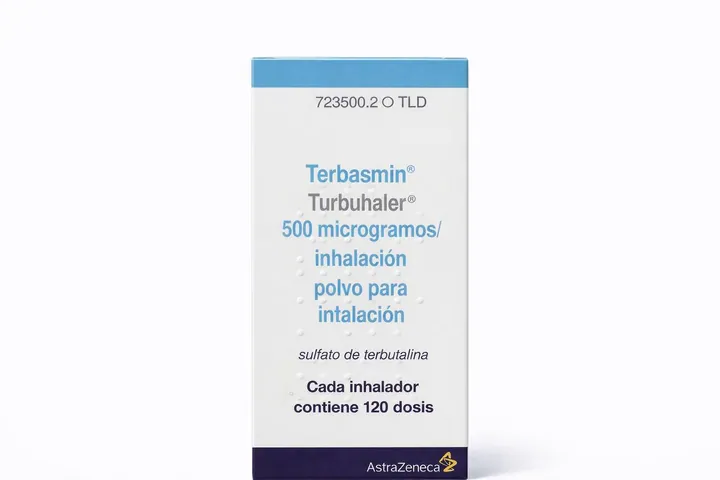 Тербасмин Турбухалер (Terbasmin Turbuhaler) 500 мкг/доза — порошок для ингаляций, 120 доз